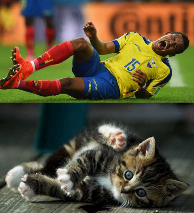 Футболисты очень похожи на котов