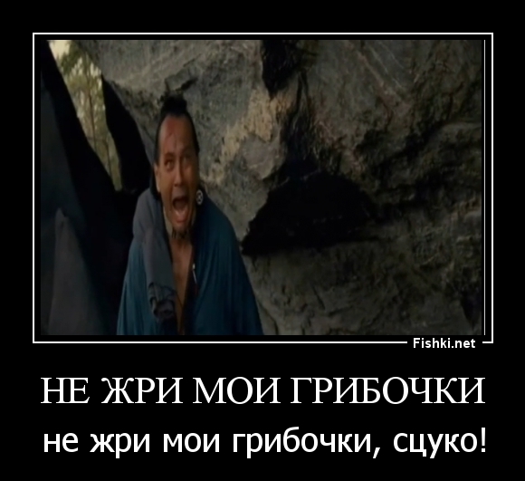 Не жри мои грибочки