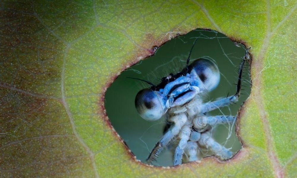 Без фотошопа