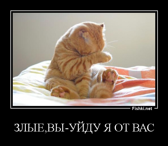 злые,вы-уйду я от вас