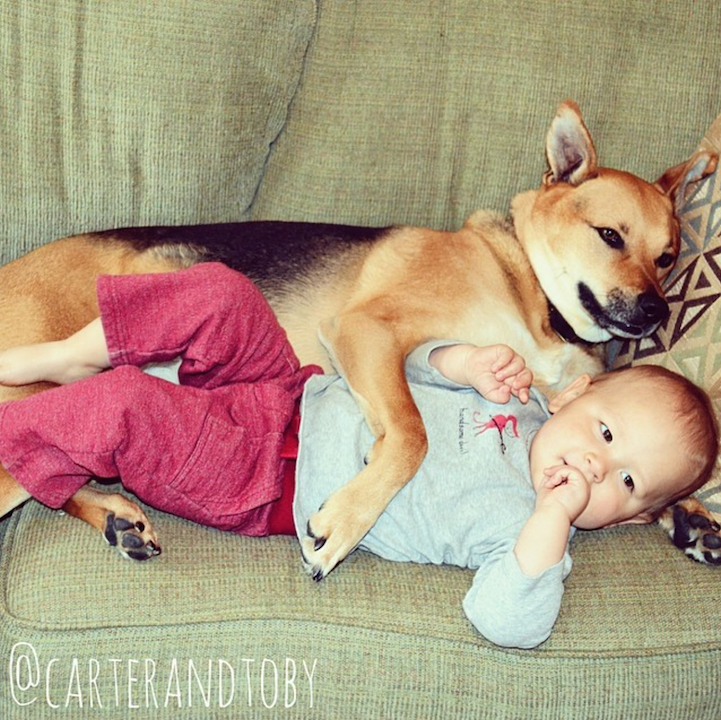 Трогательная дружба ребенка и собаки