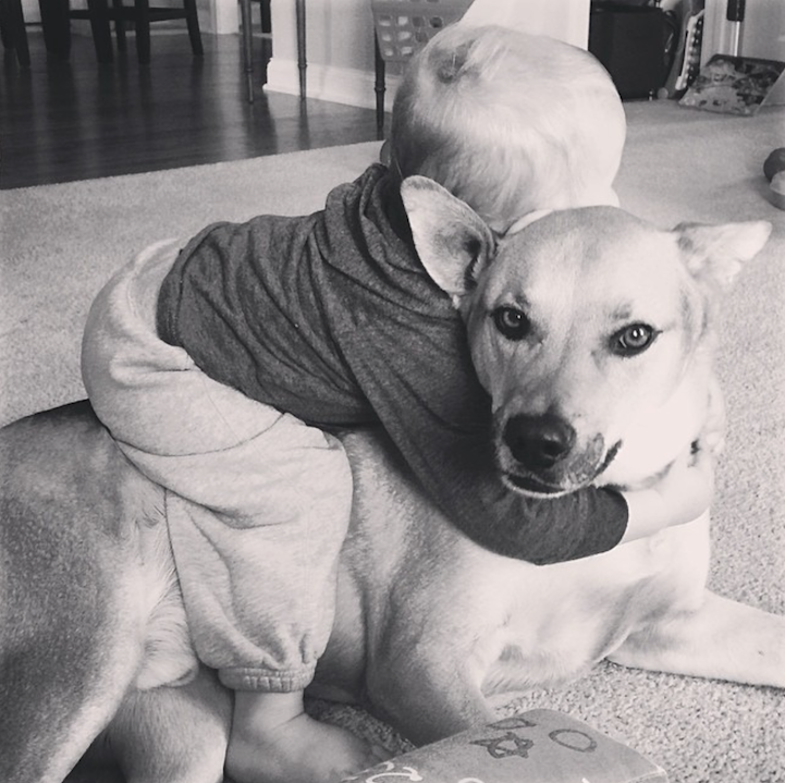 Трогательная дружба ребенка и собаки