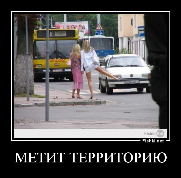 МЕТИТ ТЕРРИТОРИЮ
