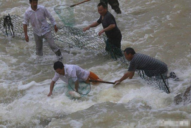 Большая рыбалка в Китае
