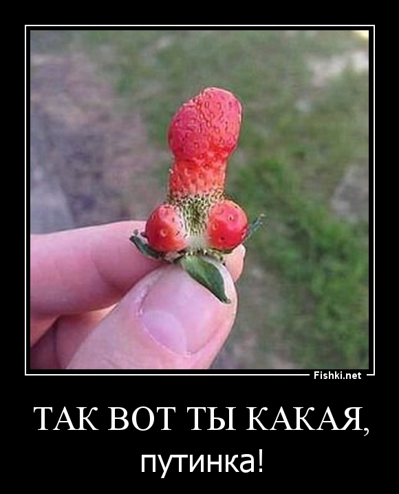 Так вот ты какая,