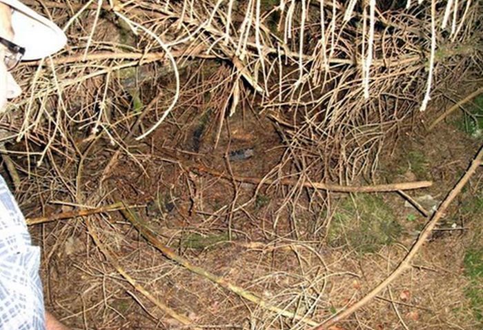 Фотографии Второй мировой, сделанные солдатом во время боя 