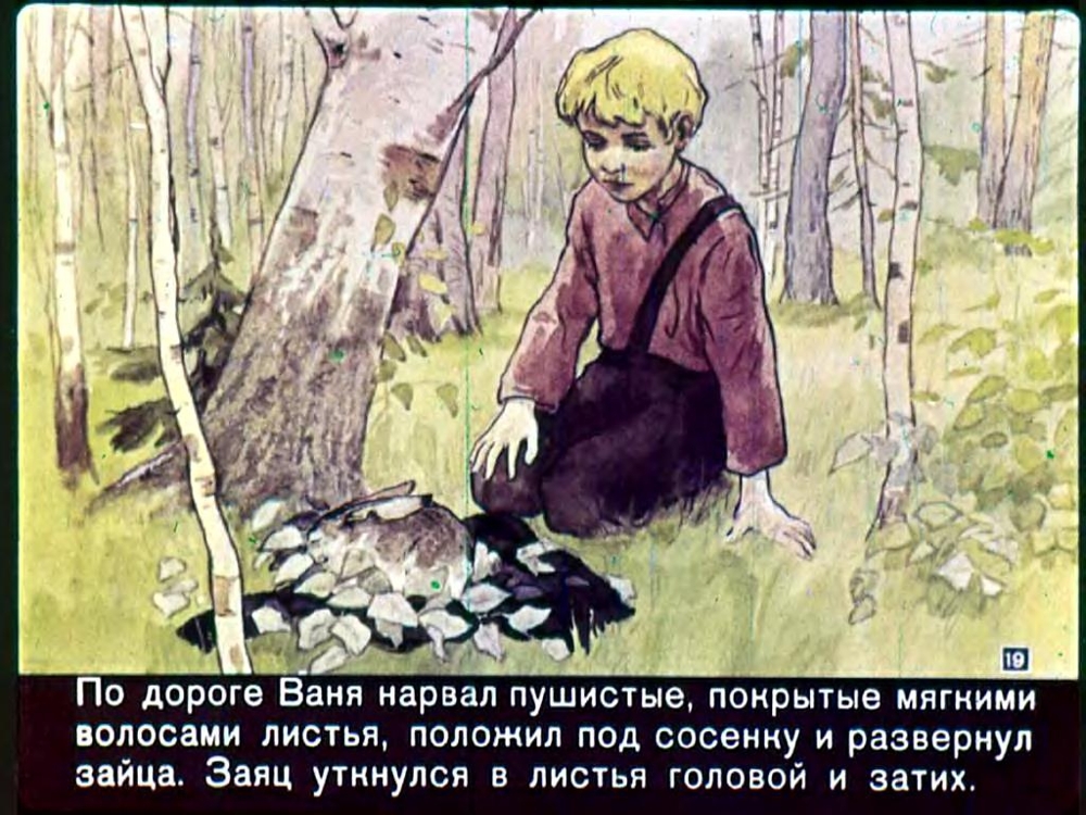 Диафильм Заячьи лапы. 1960-66г.