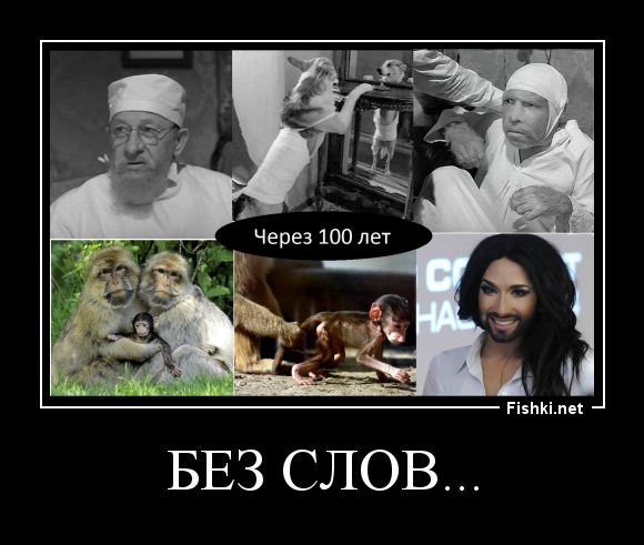 Без слов...