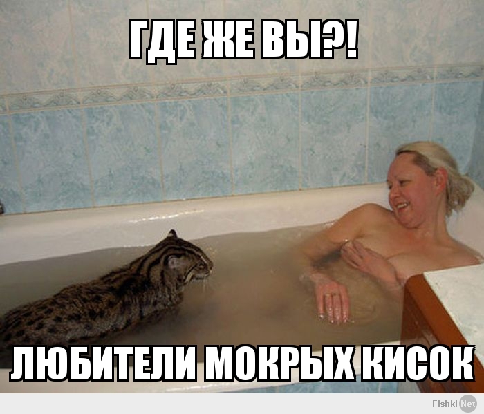 где же вы?!