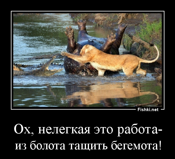 Ох, нелегкая это работа-