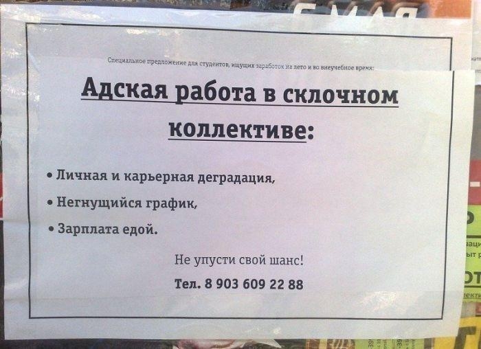 А вас устраивает ваша работа?