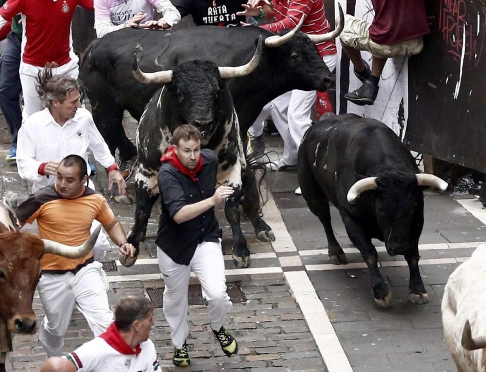 Традиционные бега с быками 