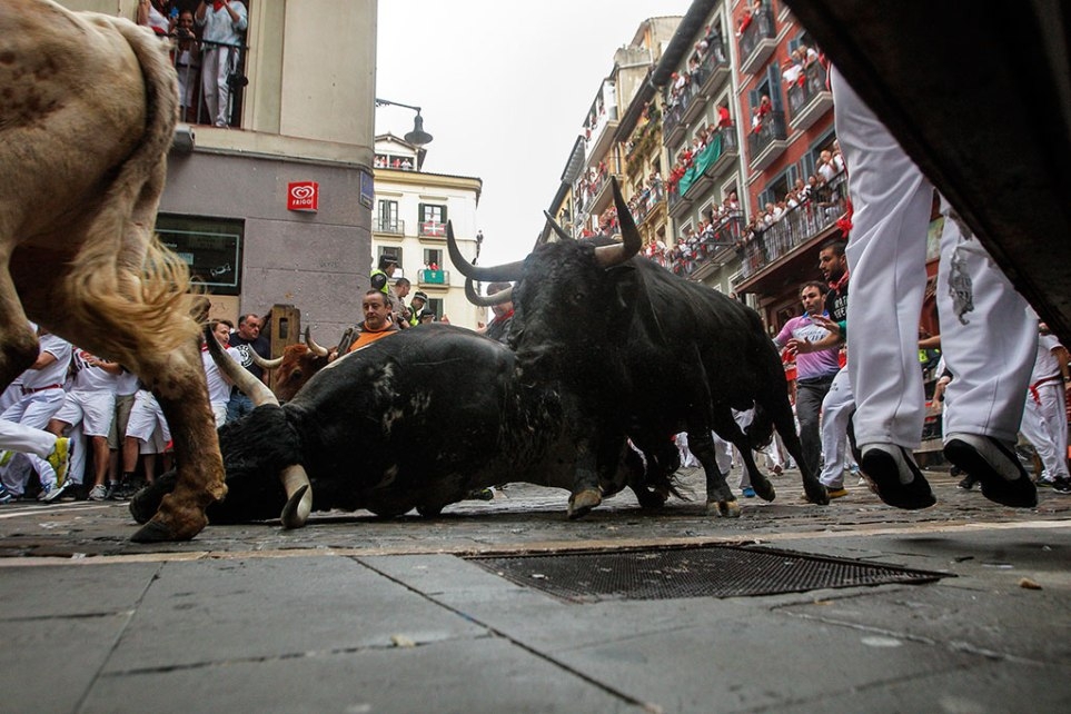 Традиционные бега с быками 