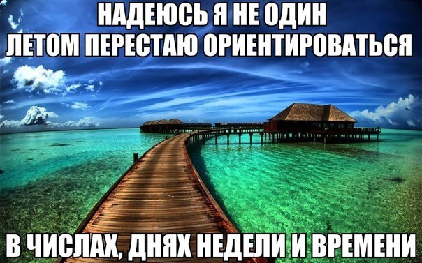 Смешные картинки с подписями