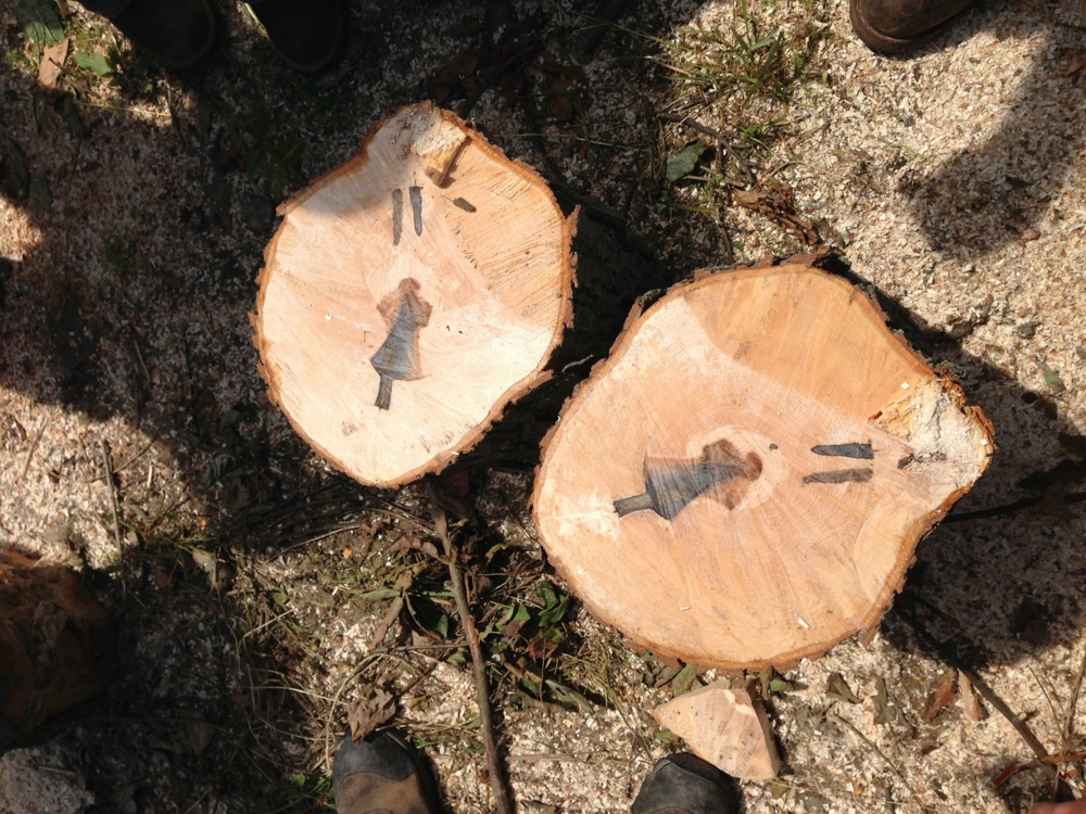 Порезал дрова