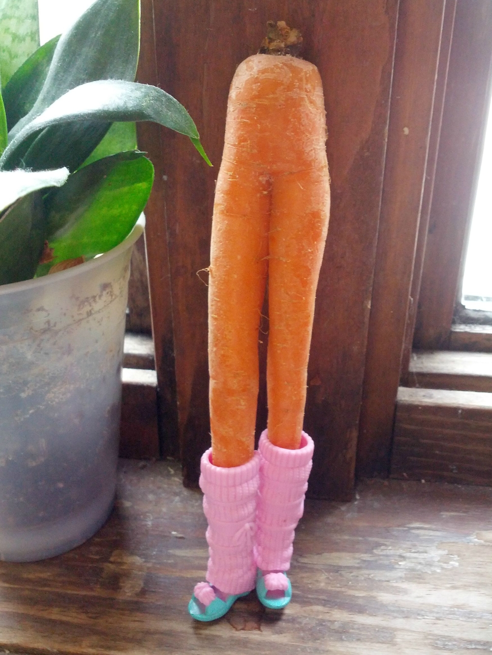 Морковные ножки