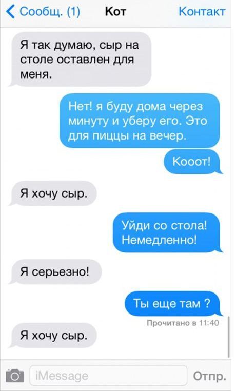 Если бы коты умели писать СМС