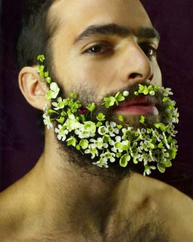 Цветущая борода