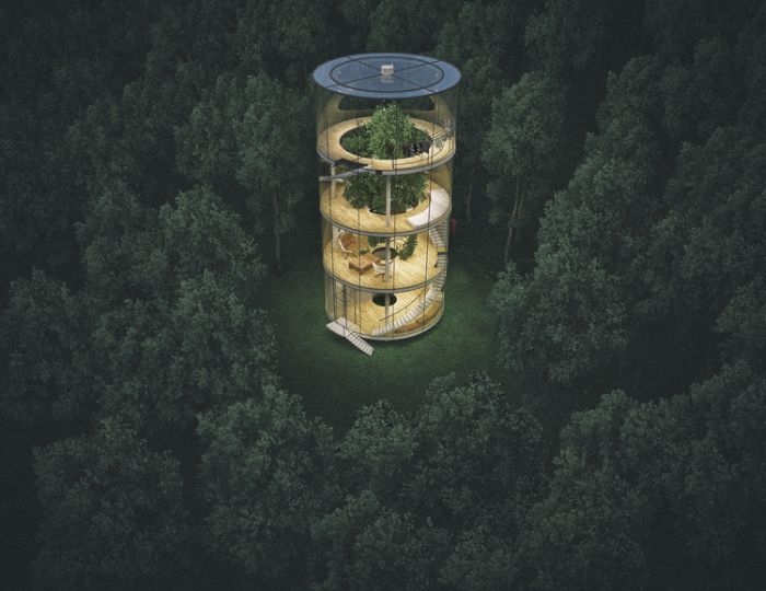 Уникальный проект стеклянного дома в лесу