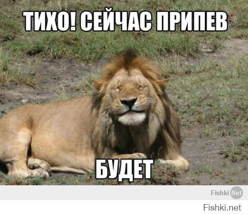 Прикольные картинки с подписями 