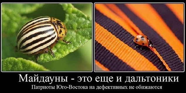 Новый русско-украинский словарь: 10 неологизмов пост-майдана