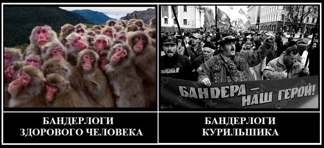 Новый русско-украинский словарь: 10 неологизмов пост-майдана