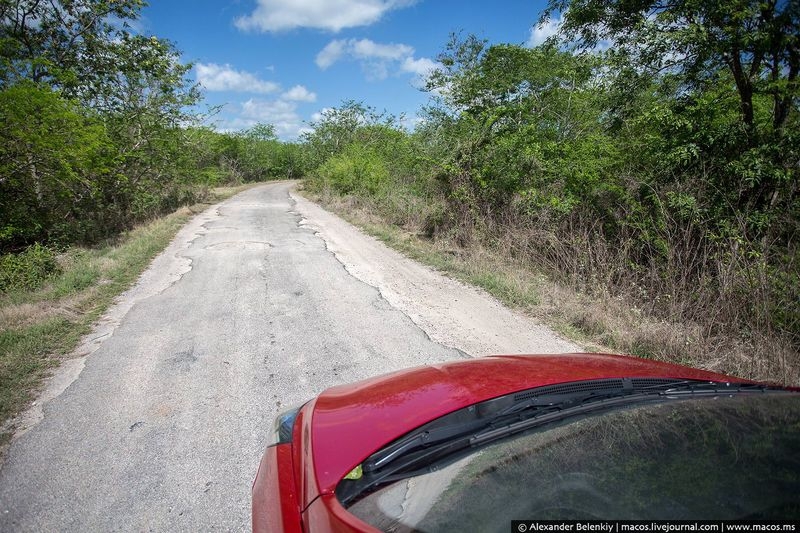 Дороги Мексики и особенности местного вождения