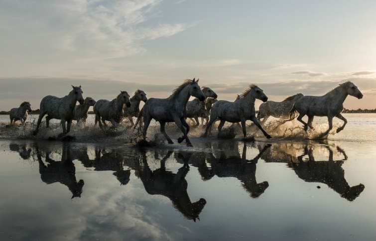 National Geographic: лучшие фотографии июня