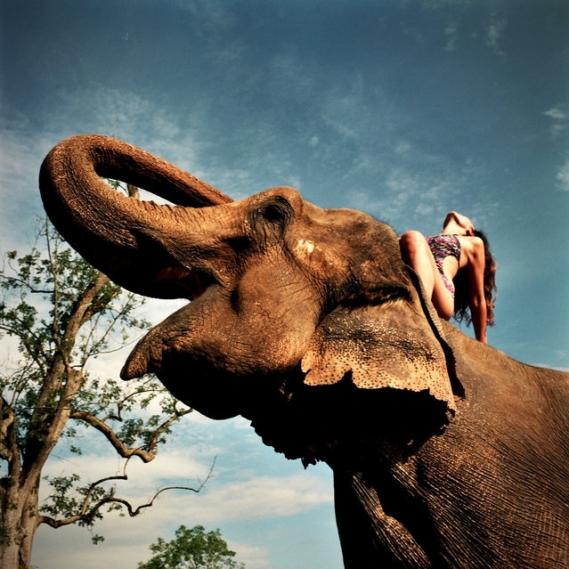Девушка на слоне