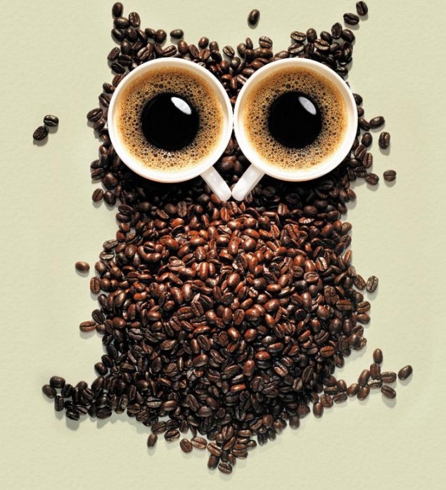 Алая сова инсолье 2. Сова из кофейных зерен. Сова с кофе. Картинки с кофейной тематикой. Кофейная тематика.
