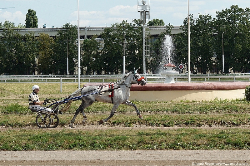 Музей Московского ипподрома