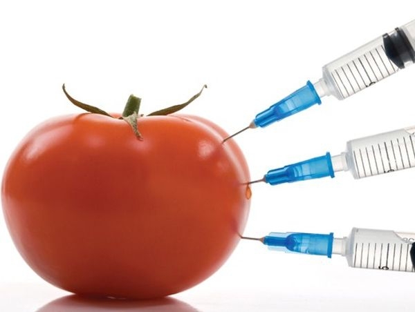10 «фактов» о ГМО