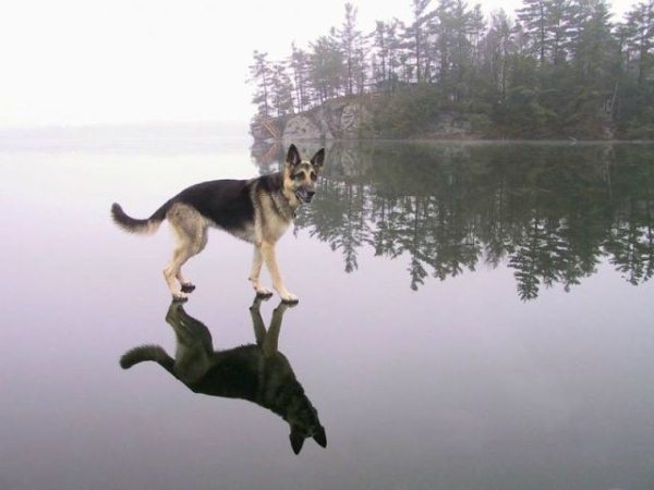 Фотографии, созданные без использования фотошопа