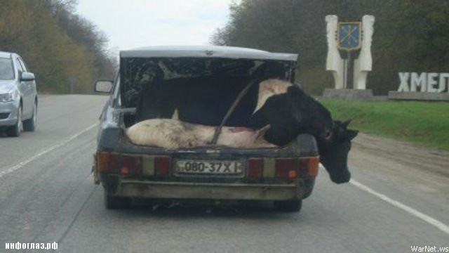 А давайте перевезем все за один раз !