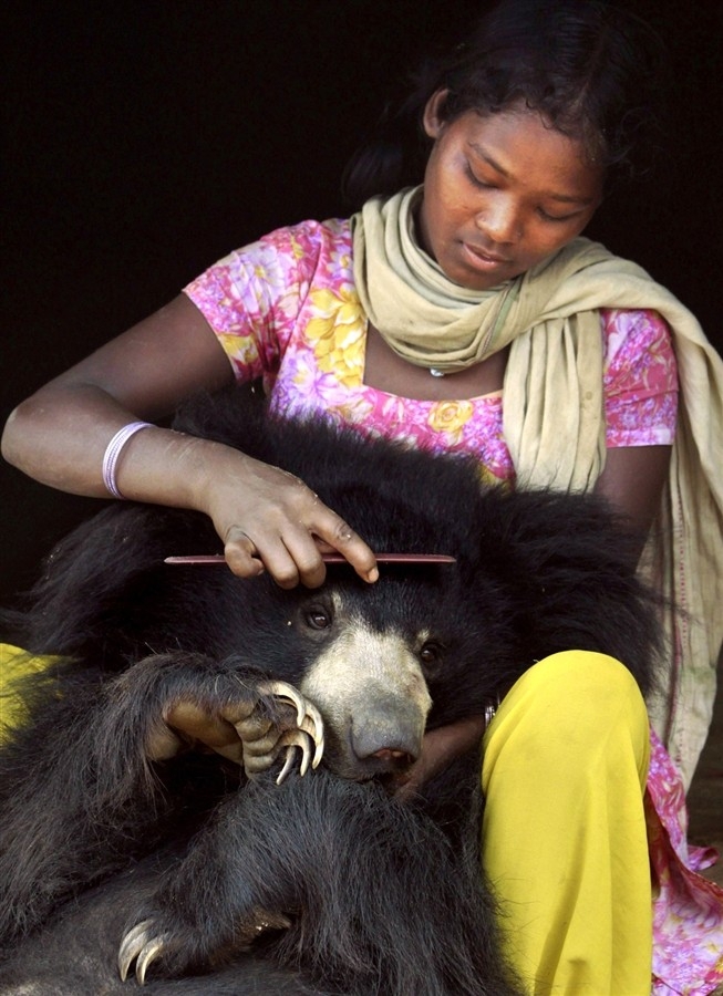 Ручной медведь в индийской семье