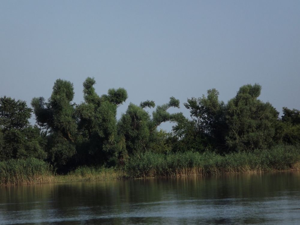 Лето, Семья, река Кубань