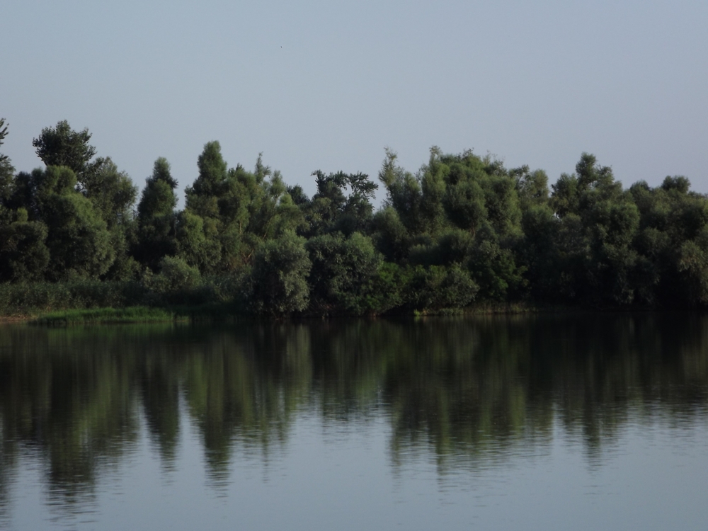 Лето, Семья, река Кубань