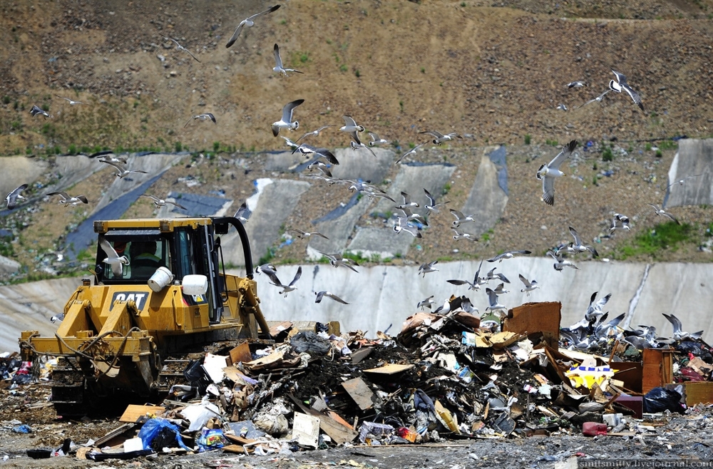 Как утилизируют мусор во Владивостоке