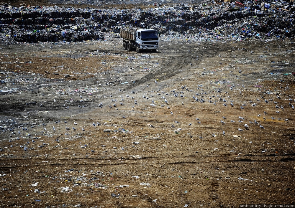 Как утилизируют мусор во Владивостоке