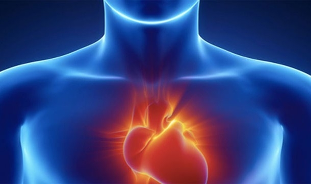 Удивительные факты о человеческом сердце