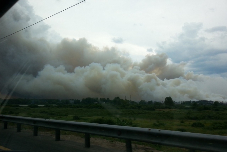 В Тверской области над трассой М10 повис густой смог от пожара