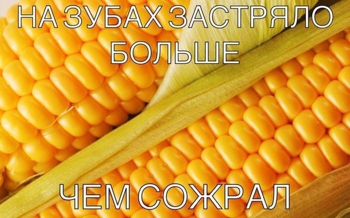 Смешные картинки с подписями 