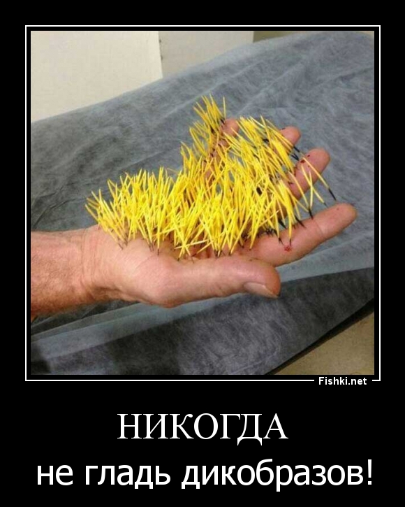 Никогда