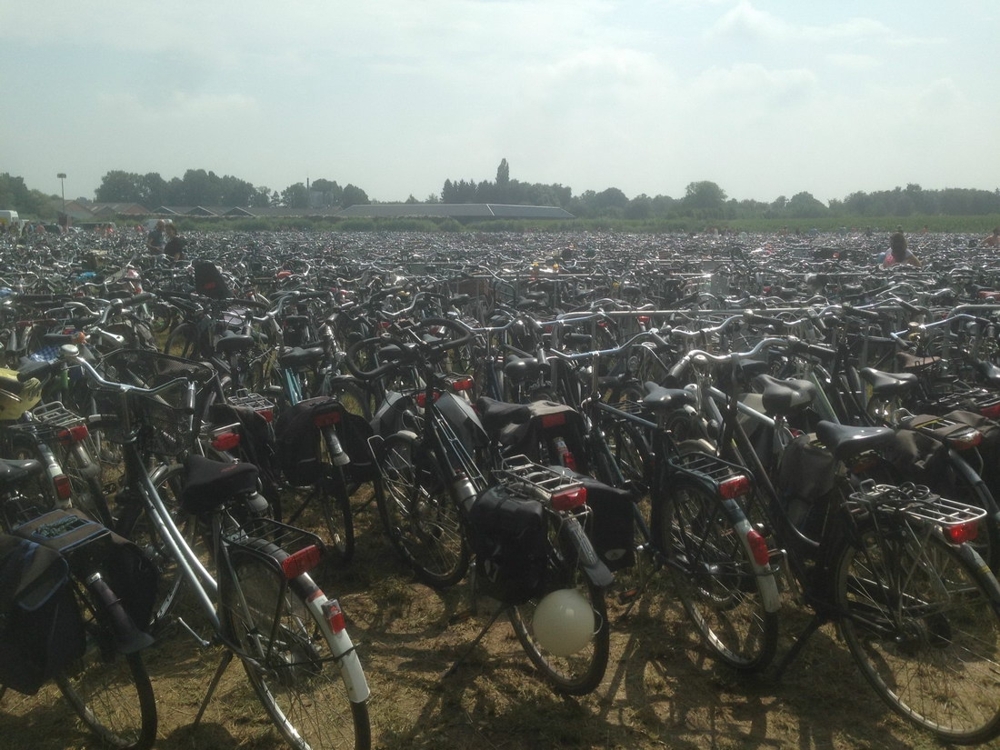 Целое поле велосипедов