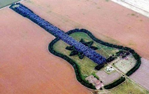Ферма-гитара или история любви аргентинского фермера