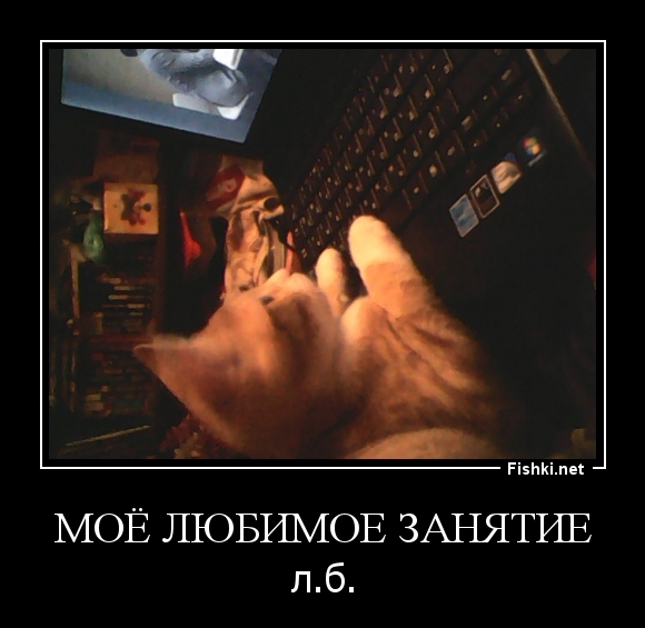 Моё любимое занятие