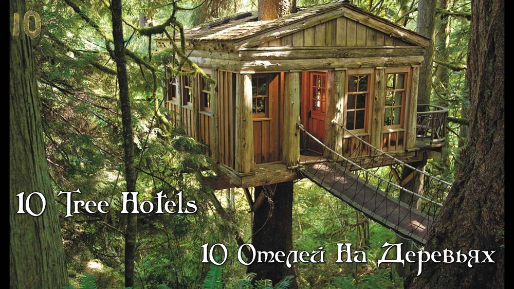 10 Отелей На Деревьях. Куда поехать в сентябре