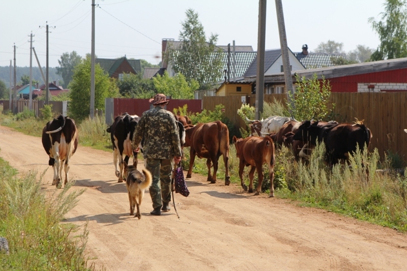 Два дня в деревне (фоторепортаж)