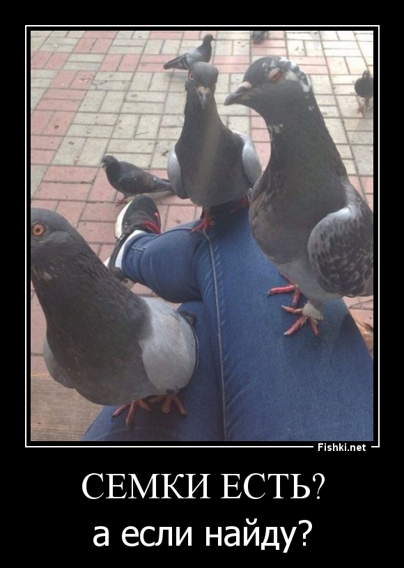 Семки есть?