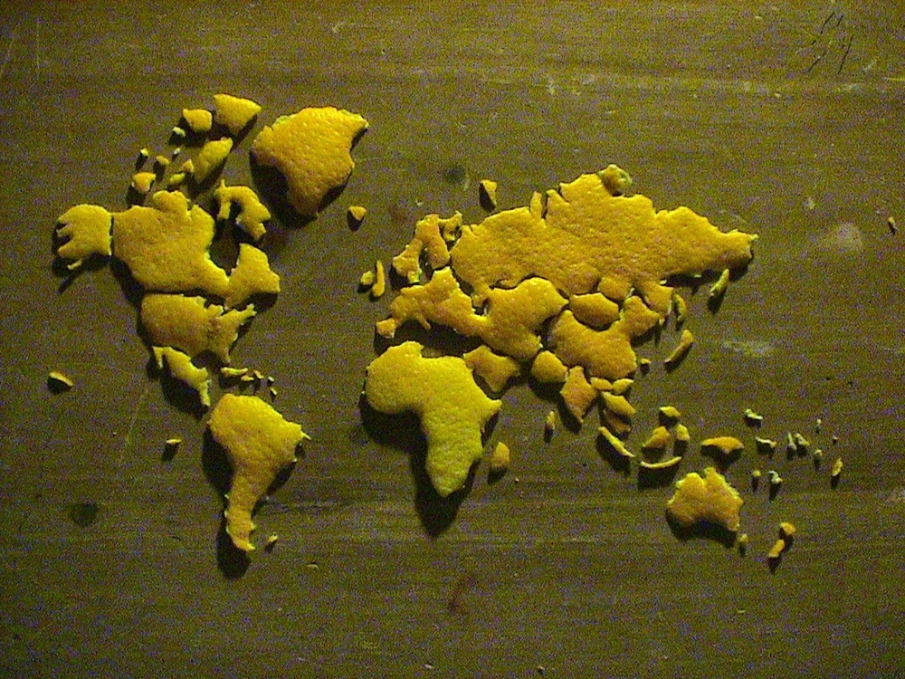 Карта мира из кожуры